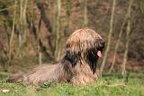 BRIARD 078